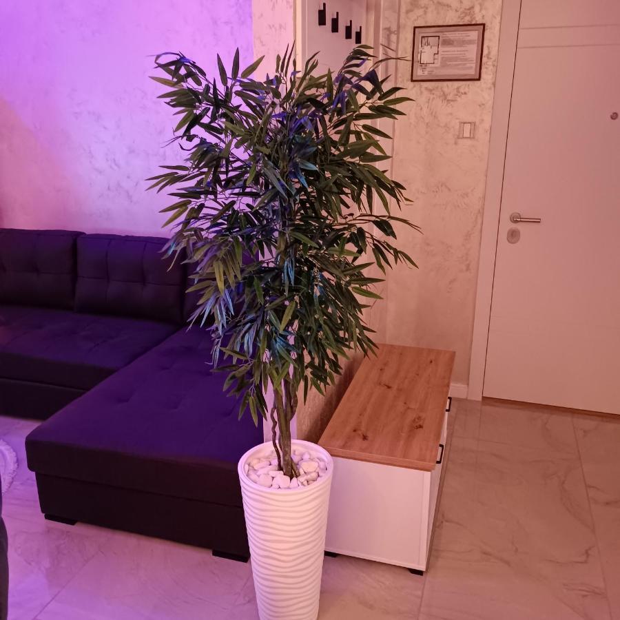Rb Apartment 3 Lux Smart House سوبوتيتْسا المظهر الخارجي الصورة